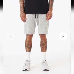 ZANEROBE NWT Sureshot Honeycomb Flight Shorts.